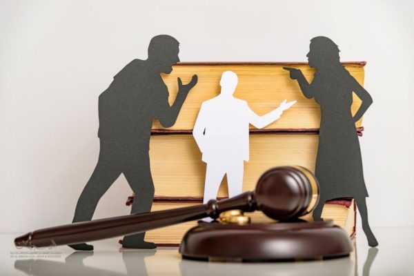 Expert Divorce & Family Matters Lawyer
